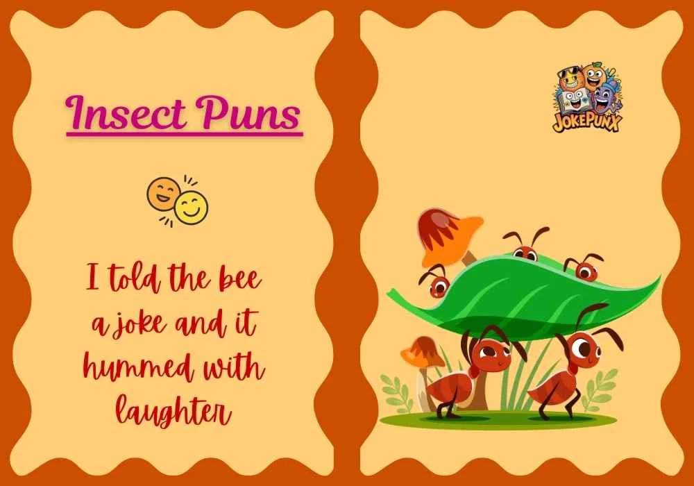 Insect Puns